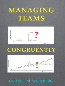 managing teams congruently