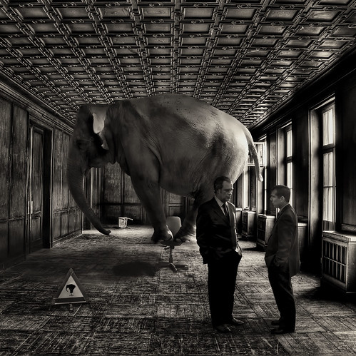 afterwards tom and eric weren't exactly sure at which point during their discussion the elephant had entered the room