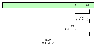 Learning to Read x86 Assembly Language