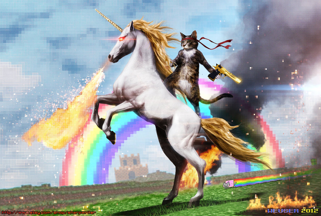 nevermind: follow the cat on the white unicorn!!!