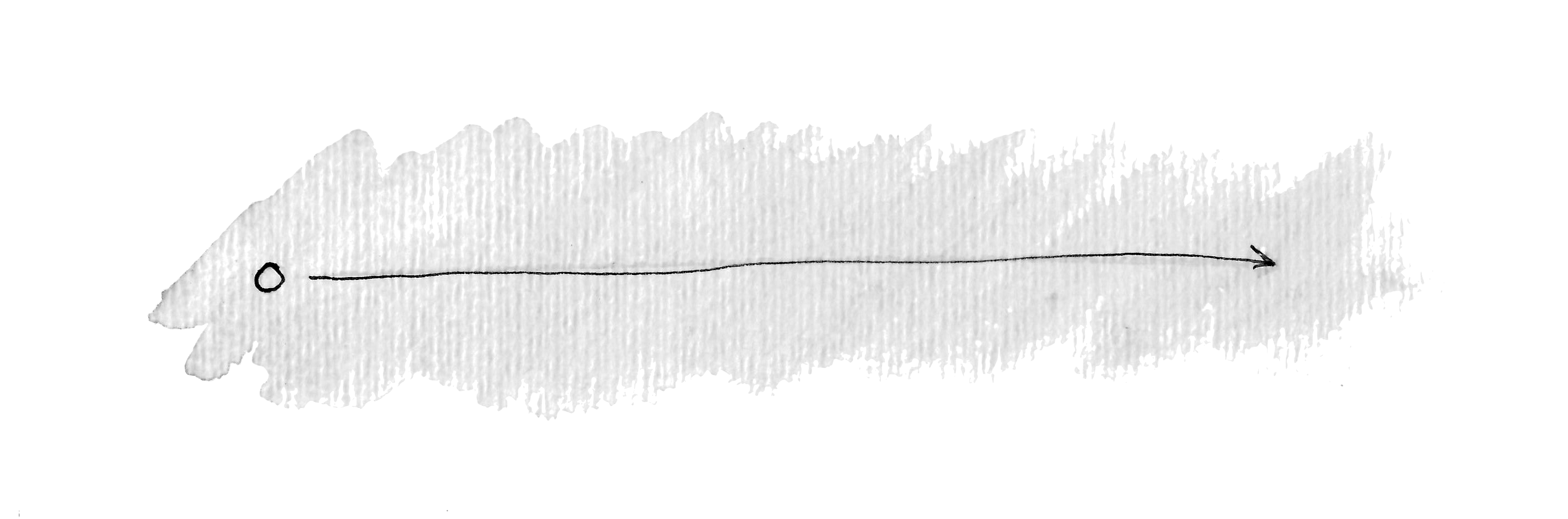 A timeline