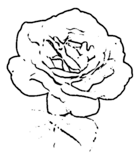 cartoon rose image
