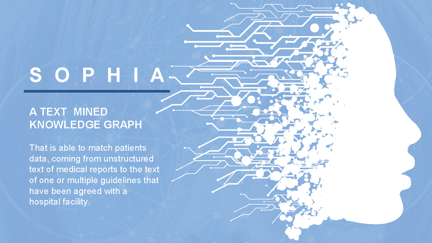 sophia text mining program