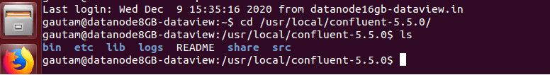 schema registry