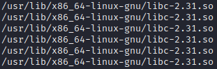 libc file name