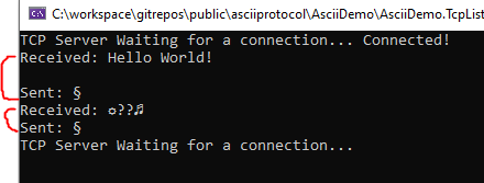 .NET Core Server Output