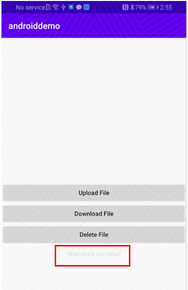 Before tapping Download File
