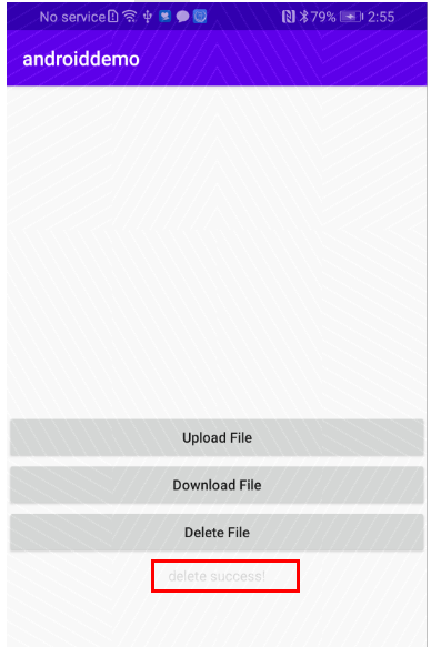 Before tapping Delete File
