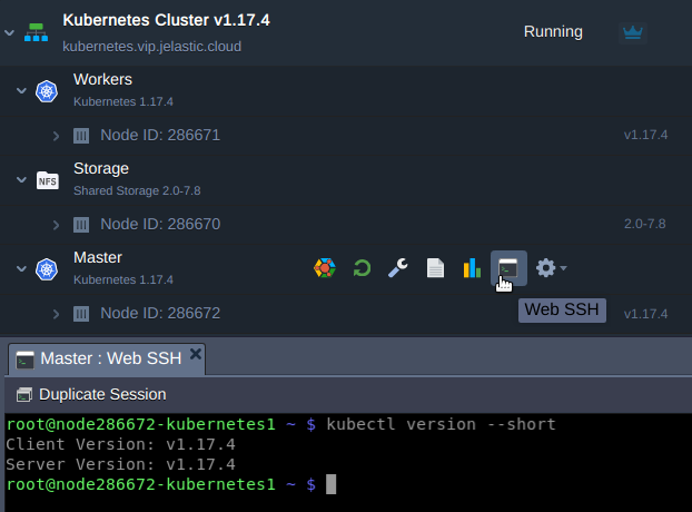 Running the Version Checking Command