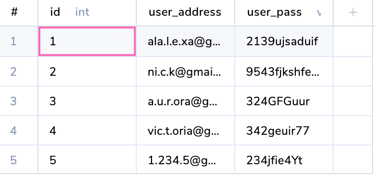 Screenshot of User Table with Inserted Data