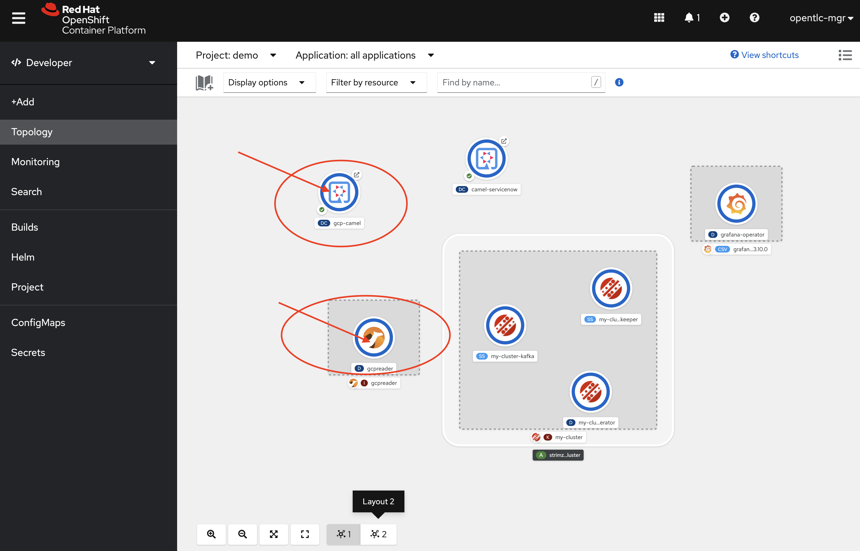 2 Instances in Developer Topology