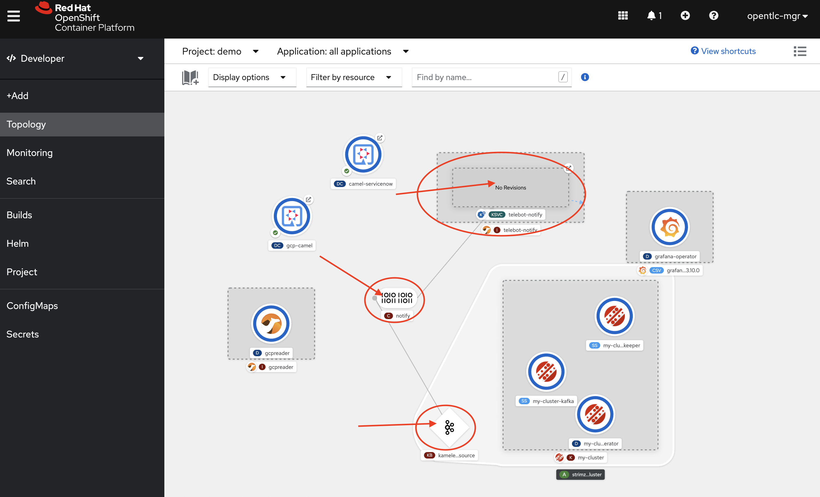 Connector in Developer Topology