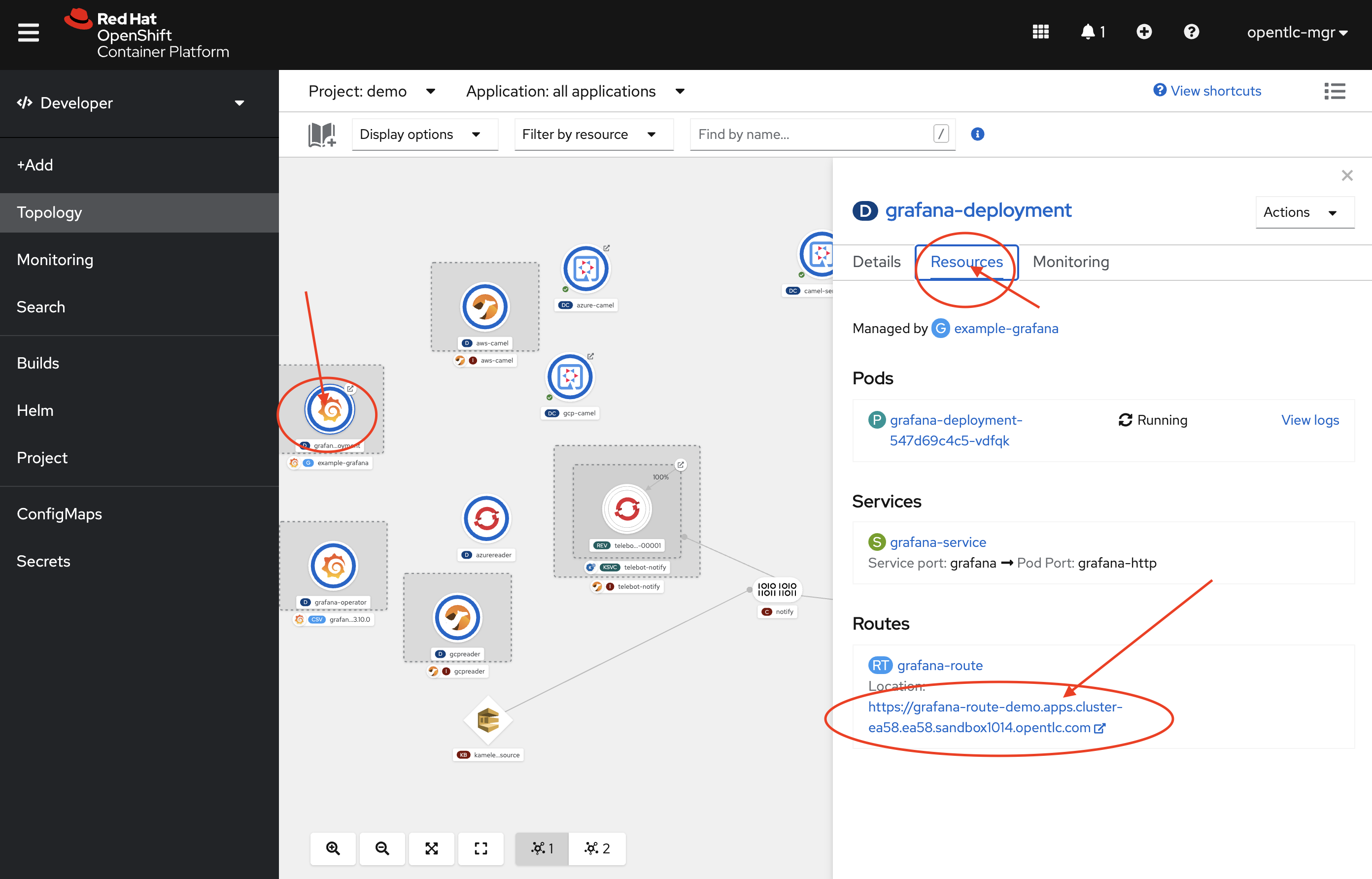 Grafana Dashboard Location in Developer Topology
