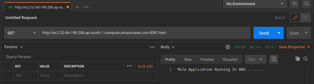 Testing Mule Application
