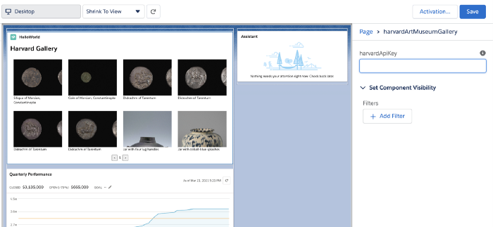 Example of Entering the API Key Into the Salesforce UI