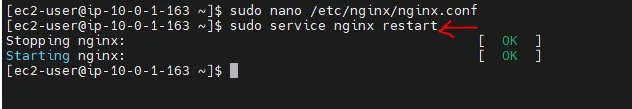 Restarting Nginx Service