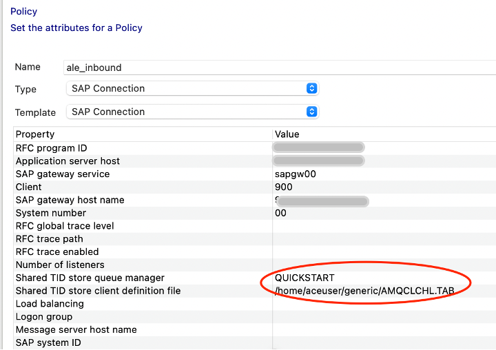 SAP Connect Policy Project view from the ACE Toolkit
