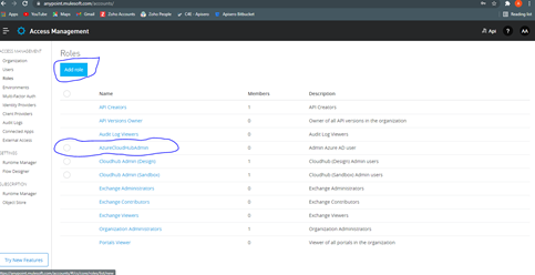 Role in the Anypoint platform