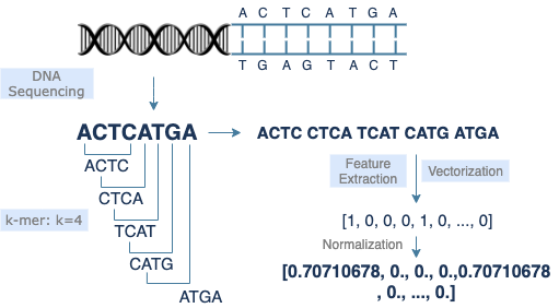 DNA Sequence Processing With k-mers