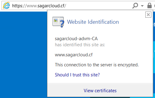 Valid certificate issued by the internal CA