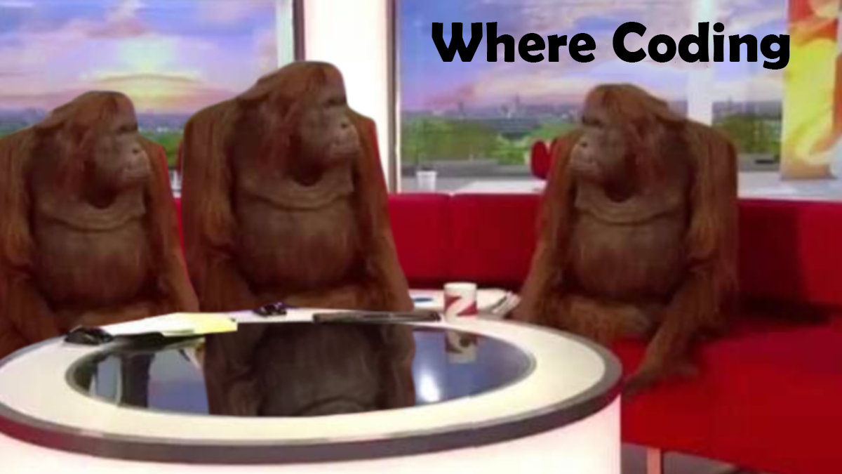 Where Coding with gorillas