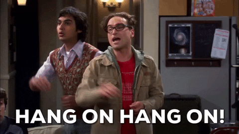 Wait! Hang On! Big Bang Theory GIF