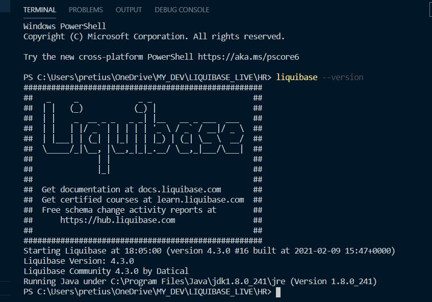 Liquidbase Successfully Installed