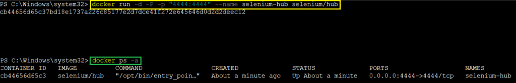 Selenium Hub running screenshot.