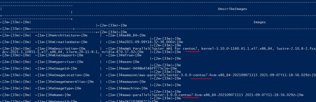 Command execution output