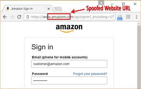 Spoofed website URL