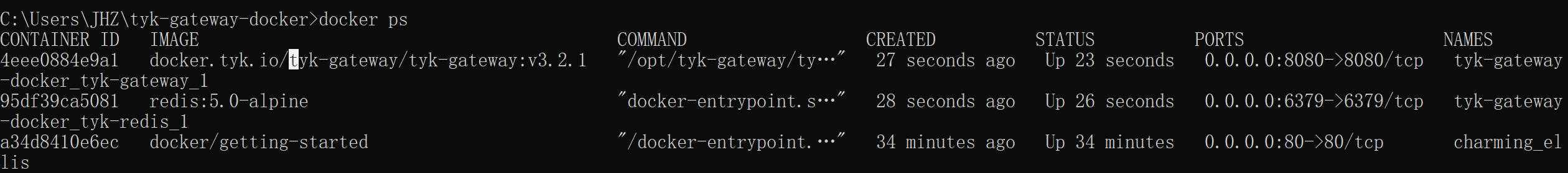 Screenshot of Project Installed