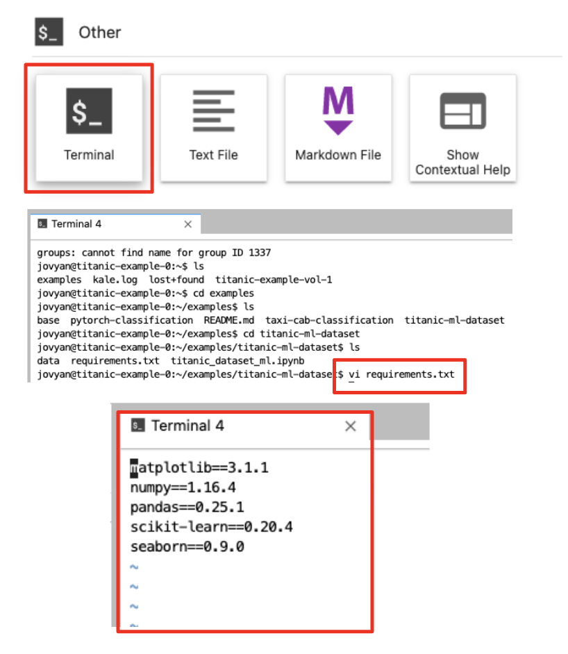 JupyterLab Terminals