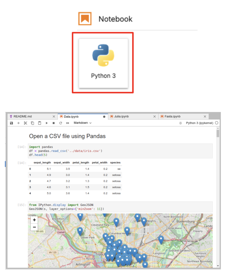 Jupyter Notebooks