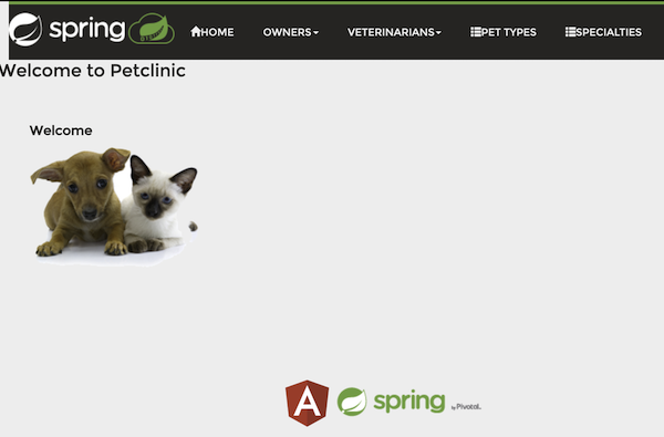 Frontend of Spring PetClinic.
