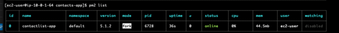 Running pm2 list Result