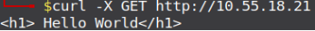 Figure 4. Response from Apache Web Server.