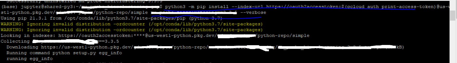 Python SDKs Package Management