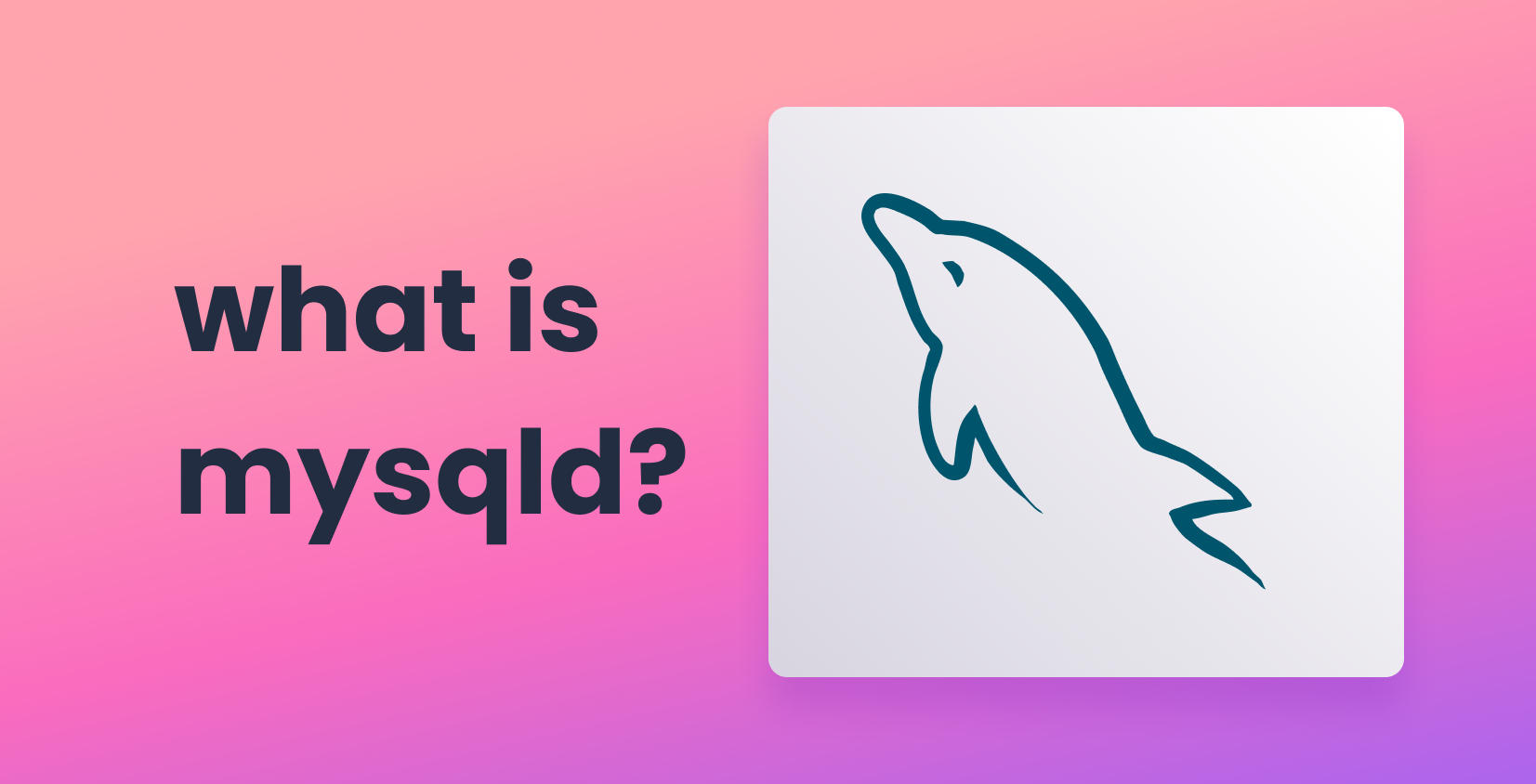 What is mysqld image