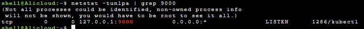 Confirm port-forwarding is working