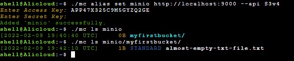 List files in MinIO buckets