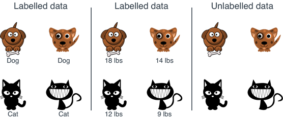 Difference Between Labeled and Unlabeled Data 