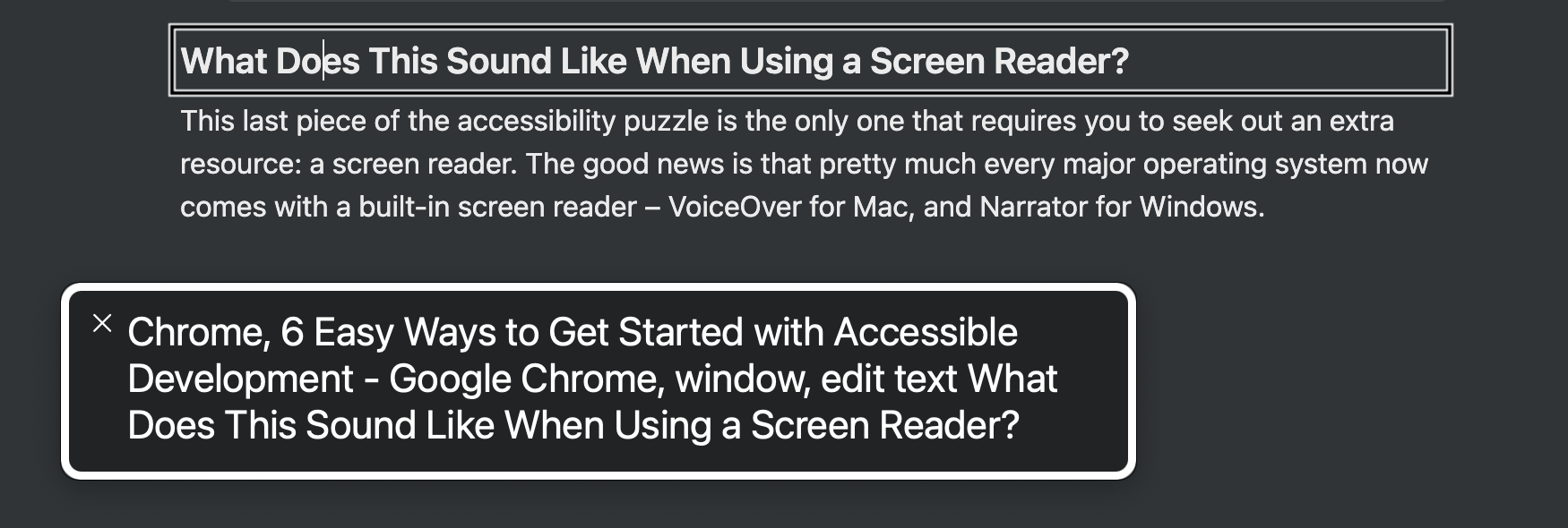Screen Reader screenshot