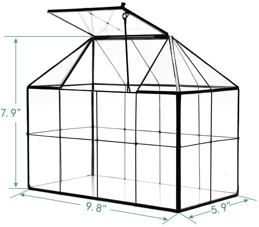 greenhouse graphic