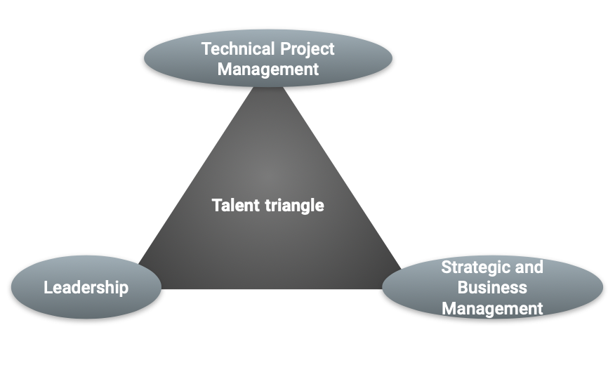 Talent Triangle