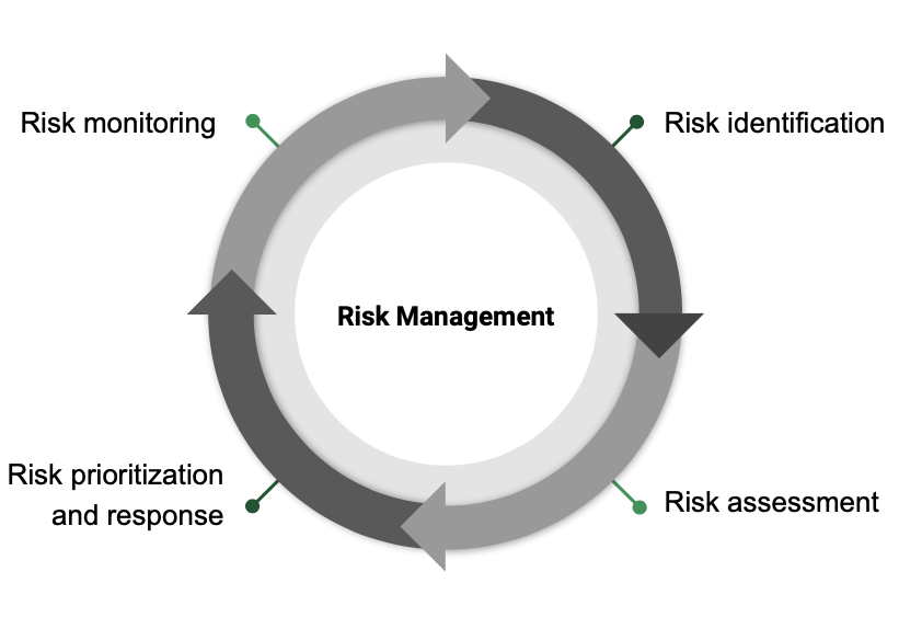 Risk Management Phases