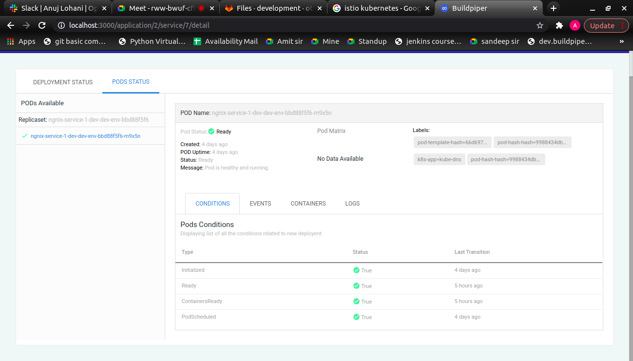 BuildPiper Pod Status Screenshot