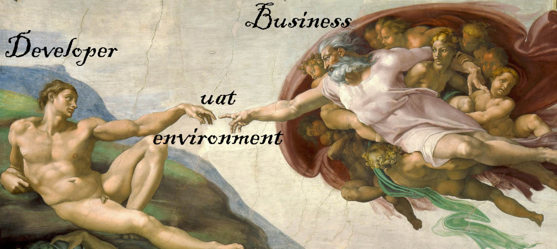 Developer, Business, and UAT environment