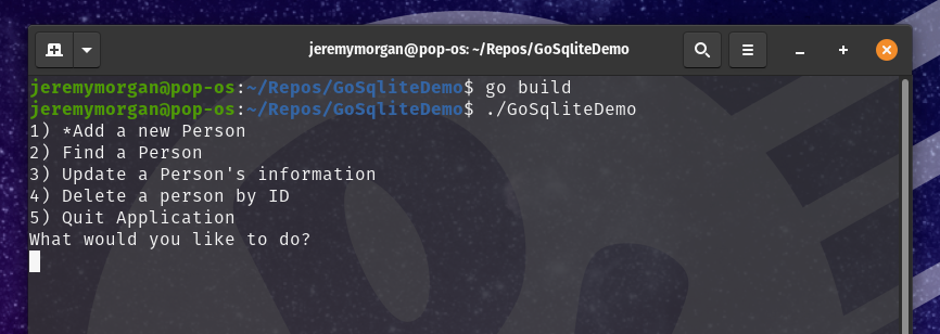 How to use SQLite with Go: Menu screen when you run the application