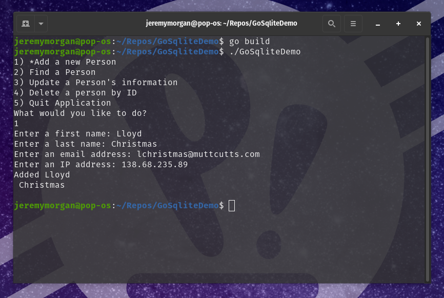 How to use SQLite with Go: Run file