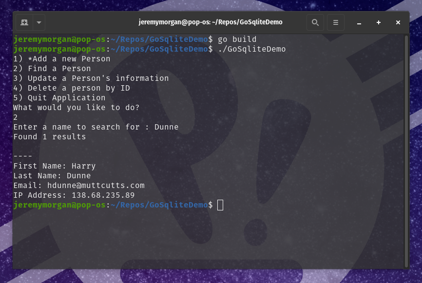 How to use SQLite with Go: Build and run